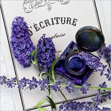 Настасья Волосач | Минск