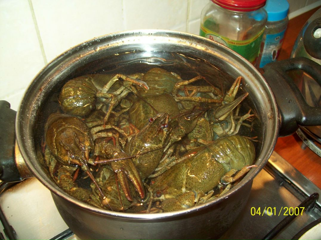 Максим Байдык | Киев