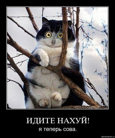 №1, Олег Ипатов, 34 года, Москва №1, Олег Ипатов, 34 года, Москва