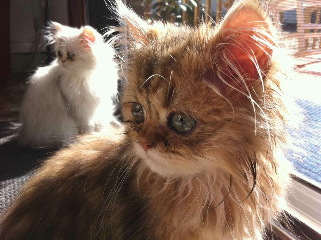 Eric Conde | Киев