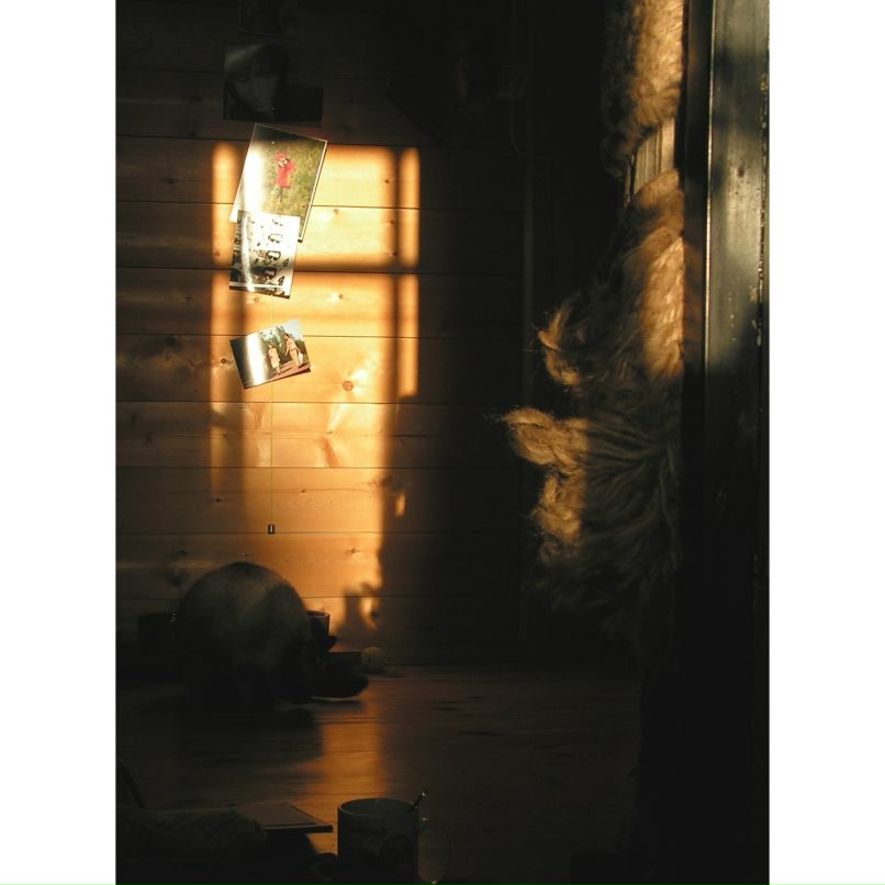 Татьяна Александрова | Linz