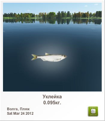 Вика Ярошевич | Черкассы