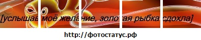 №1, Dima Lukashenko №1, Dima Lukashenko