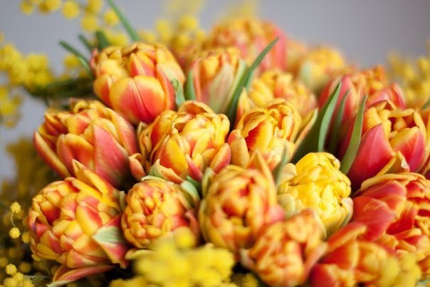 Юлия Петрова | Красноярск