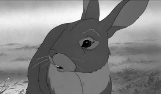 Polina Polina | Санкт-Петербург