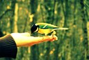 Фотография Василенко Ивана