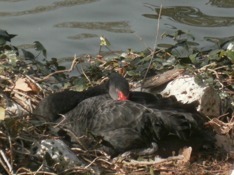 Саида Золина | Санкт-Петербург