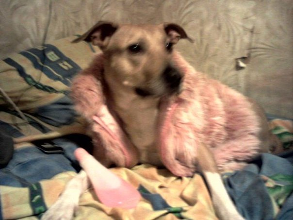 Оля Трушина | Тамбов