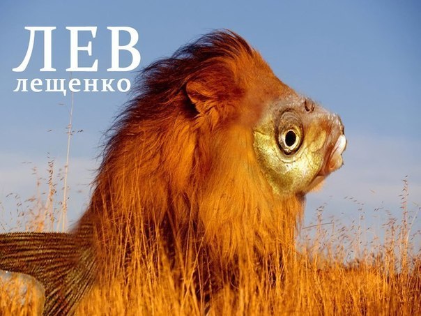 Алексей Рыбьяков | Одесса