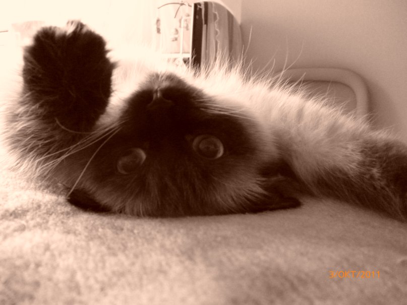 Константин Беззубов | Ижевск