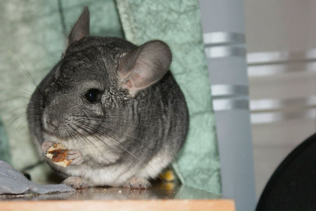 Ma Ri | Норильск