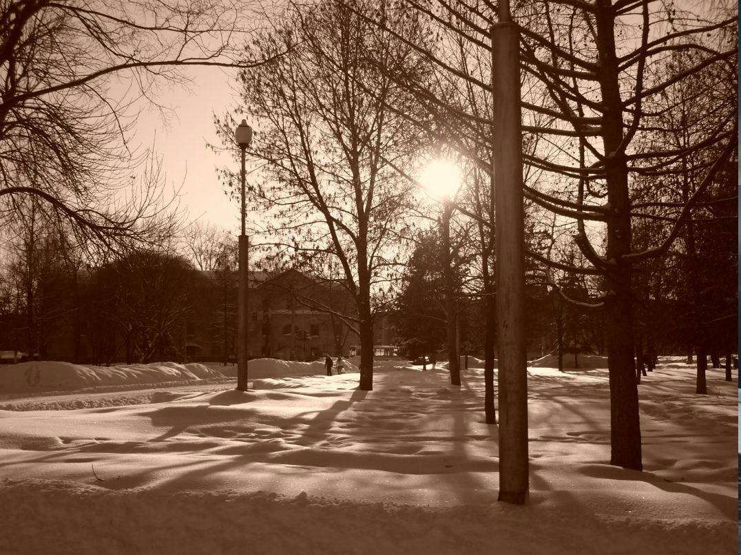 Игорь Яковлев | Вологда