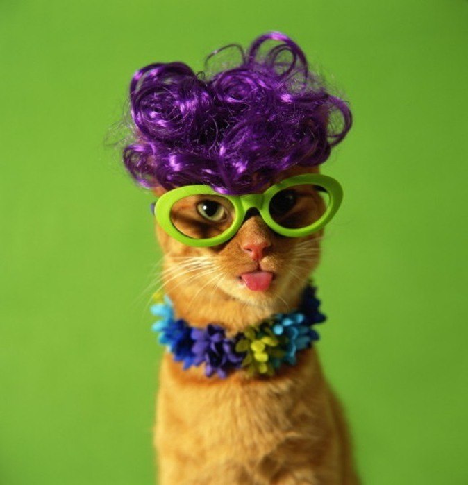 Katherine Lebedeva | 