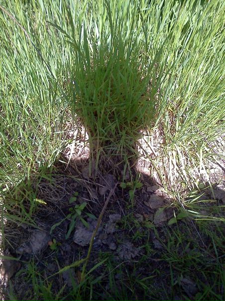 №61, Максим Бакланов, 44 года, Нижний Новгород №61, Максим Бакланов, 44 года, Нижний Новгород