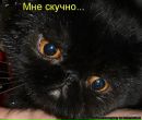 №5 Милана Цветкова 10.03.1989: профиль, фото, статус - ВКонтакте №5 Милана Цветкова 10.03.1989: профиль, фото, статус - ВКонтакте