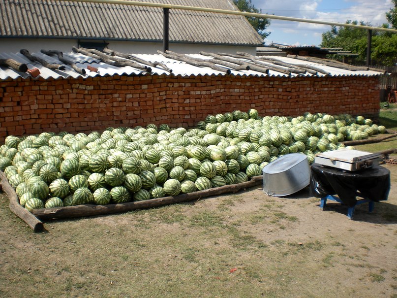 Рома Майбуров | 