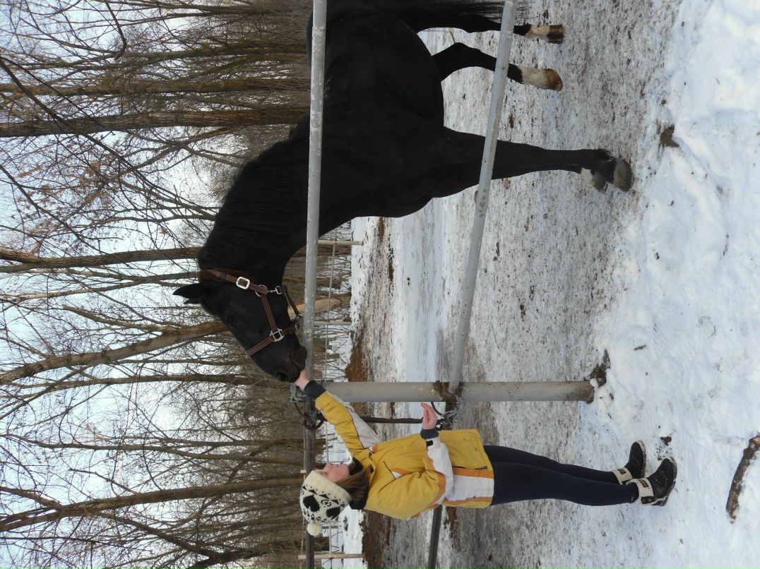 Елизавета Пасичник | Киев