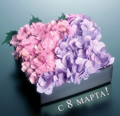 Лана Лазарева | Москва