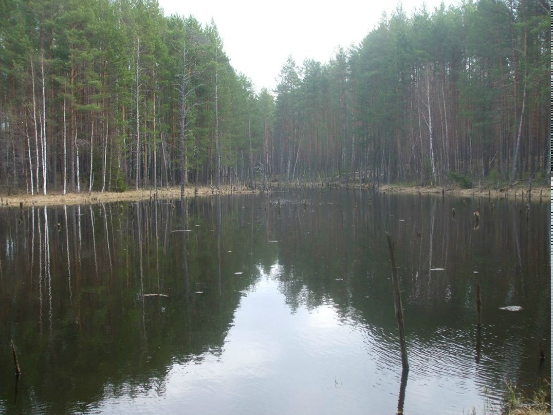Александр Муханов | Пермь