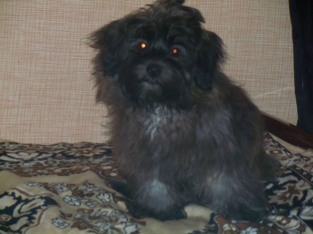 Оксана Ровенко | Бор