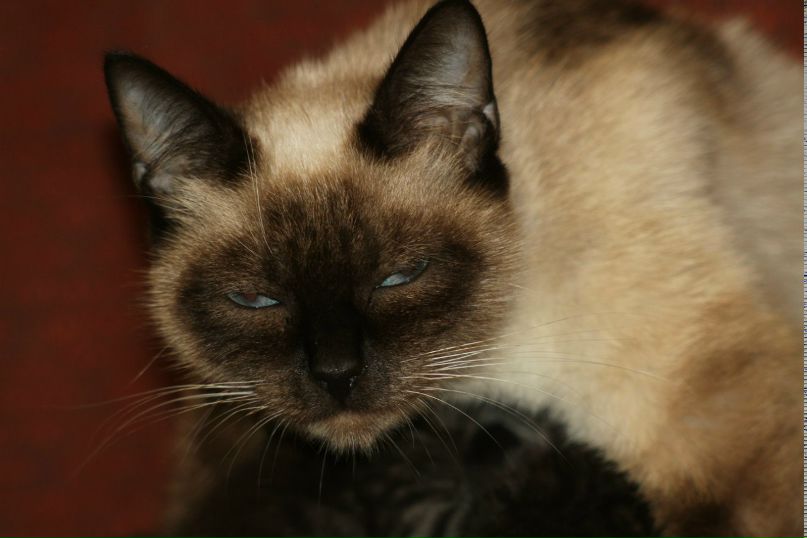 Владимир Борисович | Санкт-Петербург