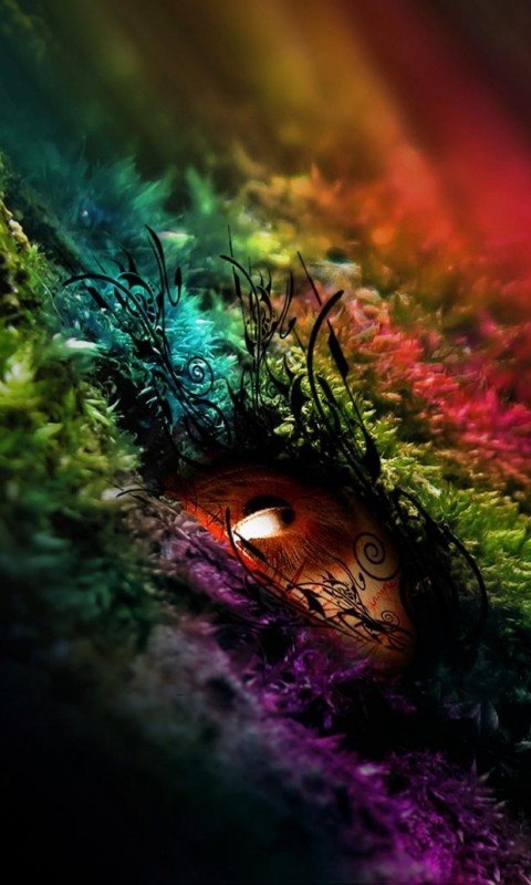 Екатерина Яблуновская | 