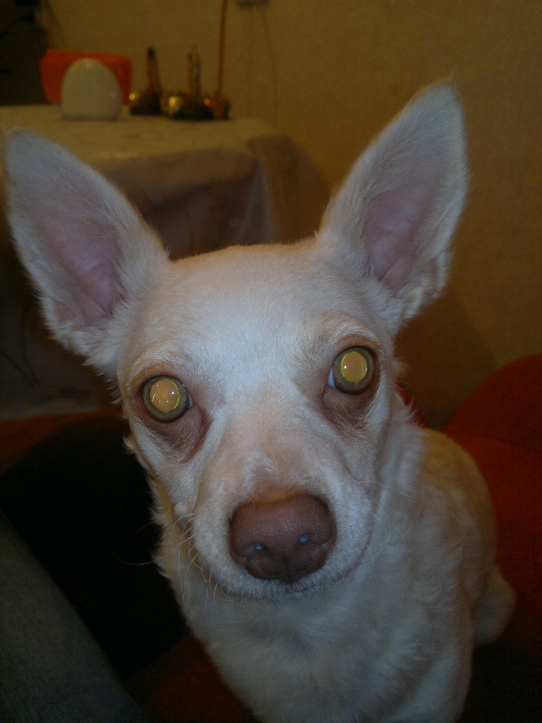 Кирилл Хомяков Витальевич | Калининград