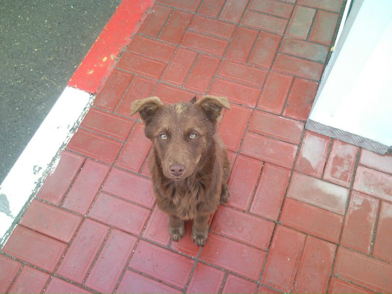 Александр Конюшенко КотАпездол | Москва