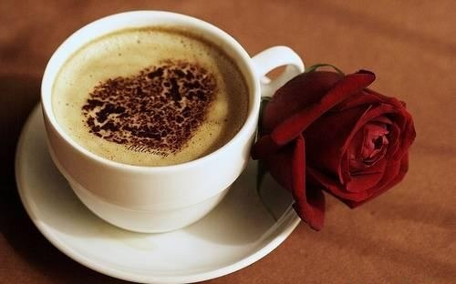 №26, Жанна Файзі, Львов №26, Жанна Файзі, Львов