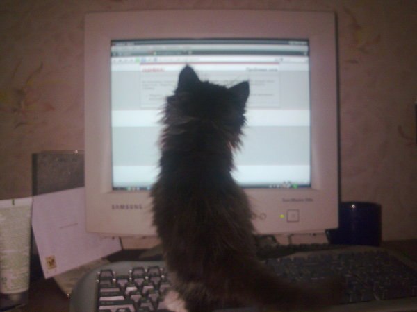 Роман Бєляєв Андрійович | Каменка-Бугская