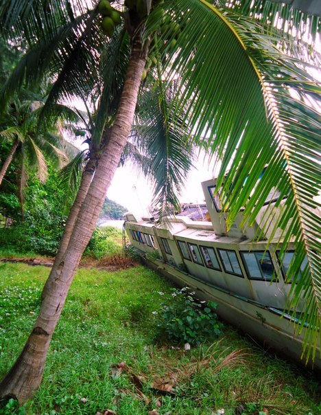 Alin Malin | Москва