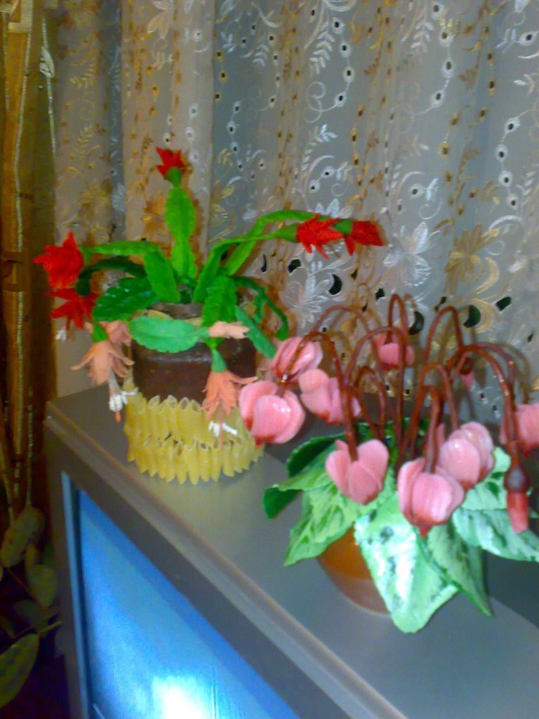 Диана Справедливая | Селидово