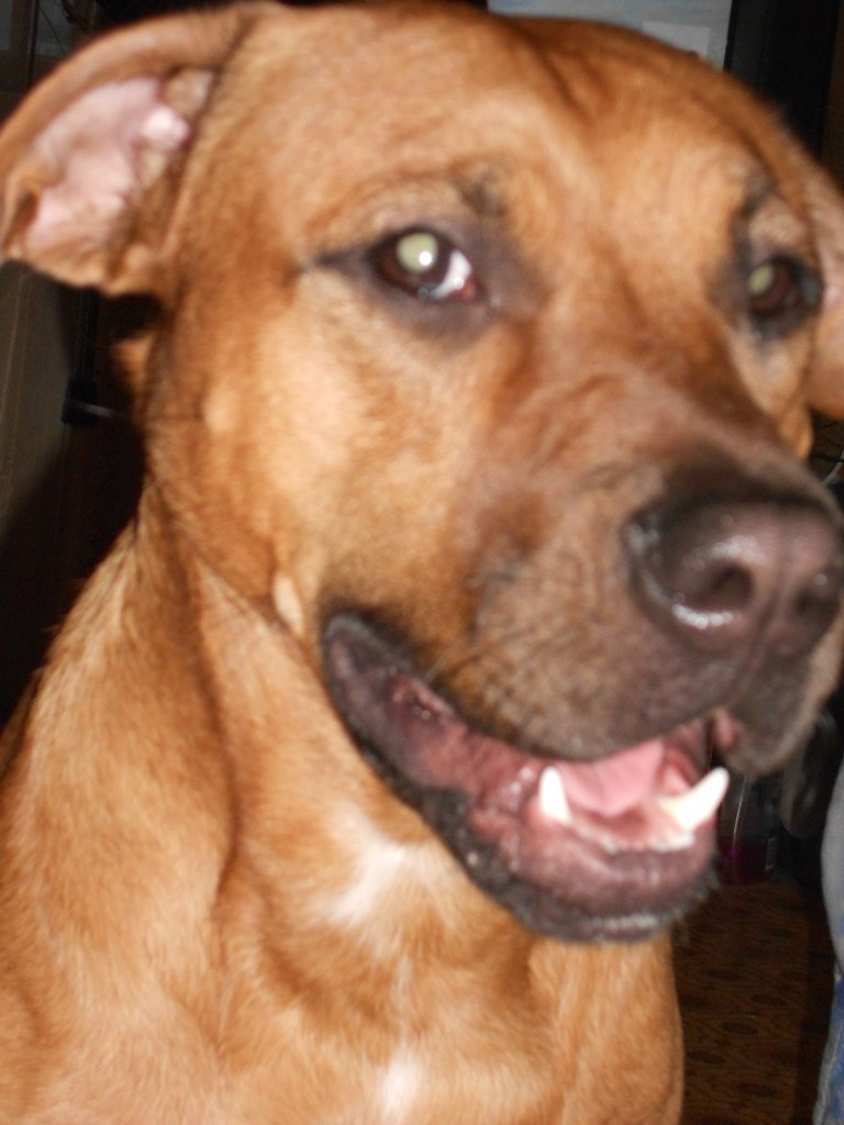 Екатерина Чукавина | Челябинск