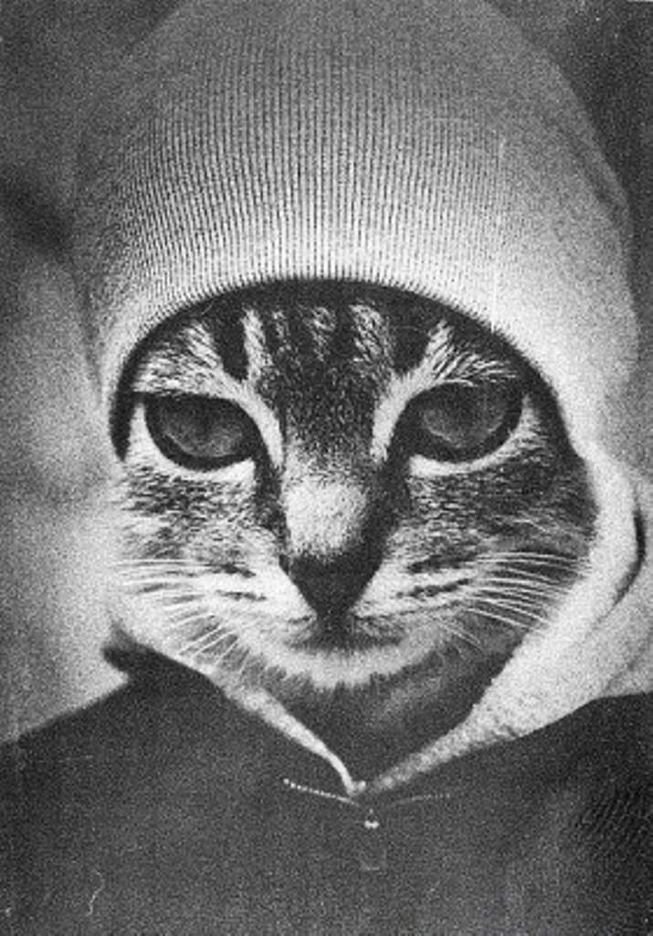 Елена Заболотная-Никоненко | Белая Церковь