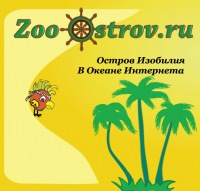 Зоо Остров Спб Интернет Магазин