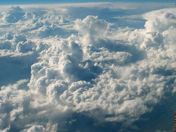 №24, Данил Гончаренко, 30 лет, Сумы №24, Данил Гончаренко, 30 лет, Сумы