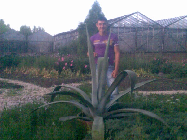 №71, Дмитрий Хан, 39 лет, Донец №71, Дмитрий Хан, 39 лет, Донец