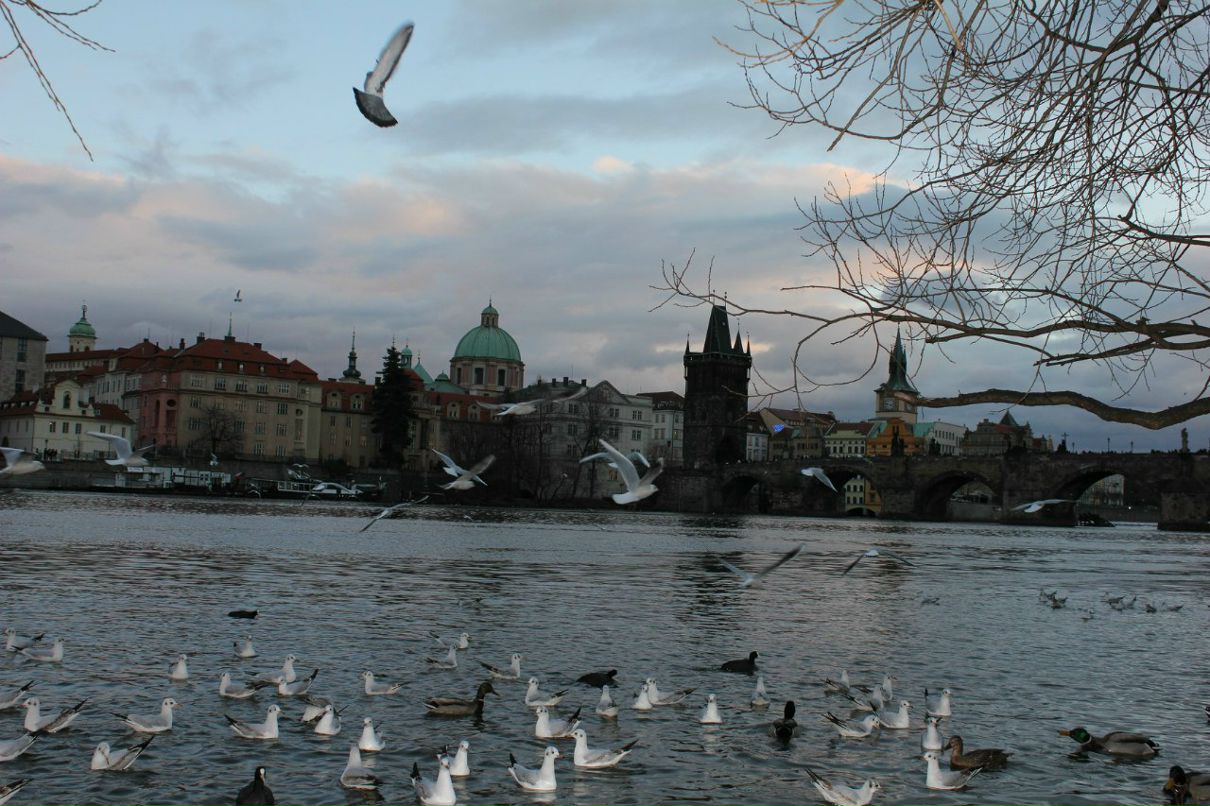 Христиночка Турбиночка Анюточка | Таллин