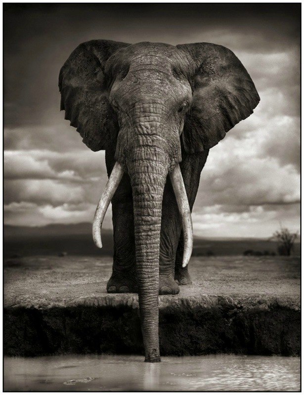 Виктория Звонарёва | Калининград