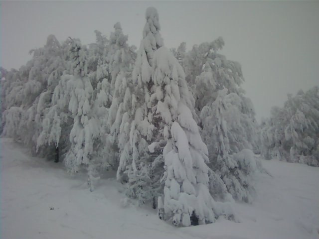 Ярослав Волонтырец Олександрович | Николаев