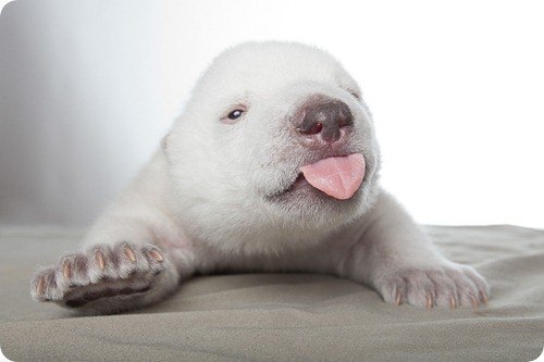 Мария Махотина | Москва