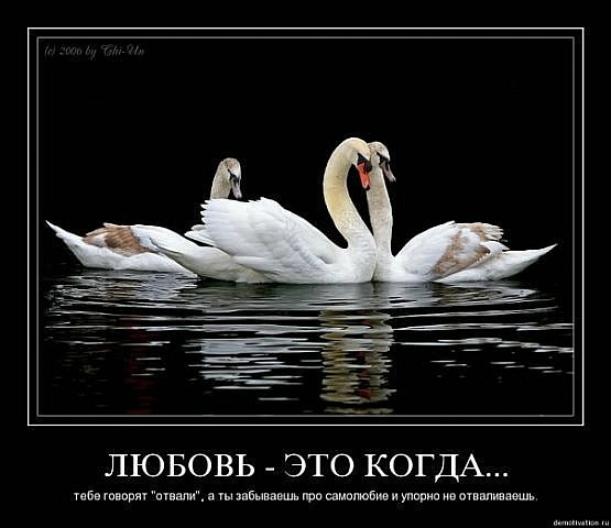 №137, Христина Гнатенко, 35 лет, Харьков №137, Христина Гнатенко, 35 лет, Харьков