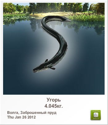 Руслан Шушулков | Измаил