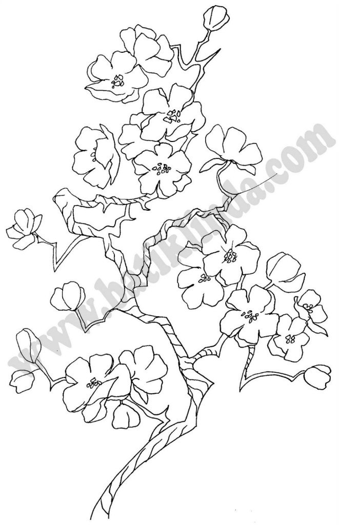 Серёга Антонов =yKr@p= | Нижний Новгород