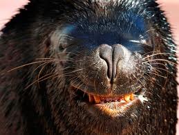 Артур Даниелян | Винница