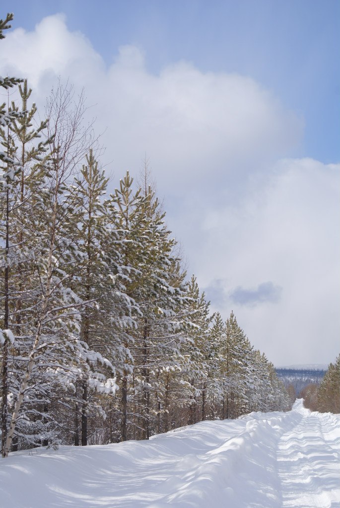 Иван Босниец | 