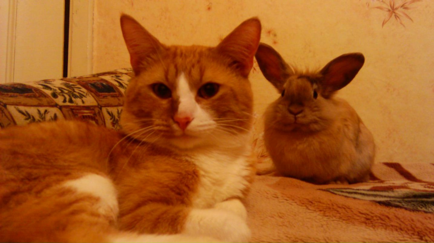 Нина Беспалая Min(N)i *драфь полосатая* | Краснодар