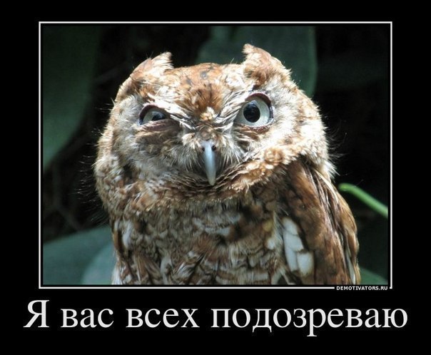 Игорь Масолов | Черновцы