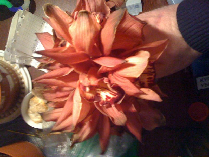 №81, Антон Ялашкин, 37 лет, Елизово №81, Антон Ялашкин, 37 лет, Елизово