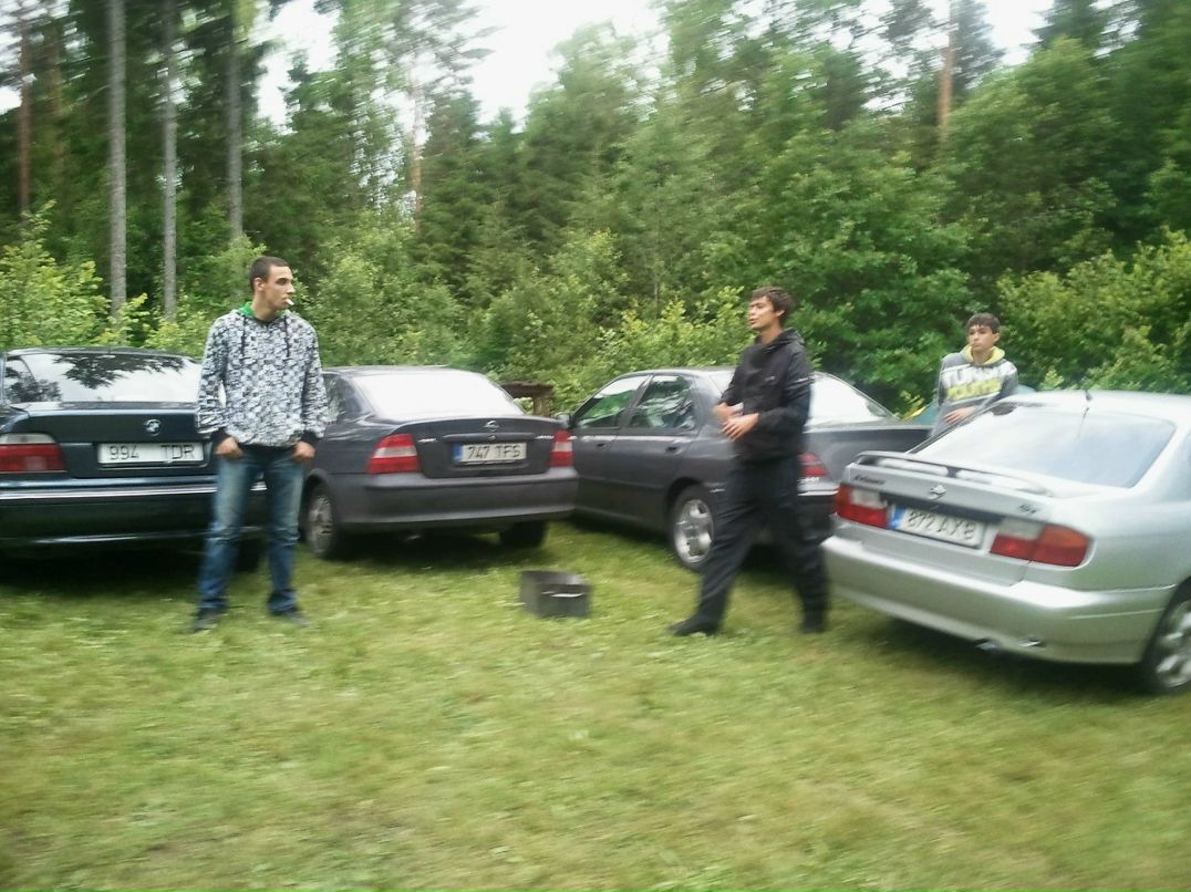 Алексей Музалевский | Таллин